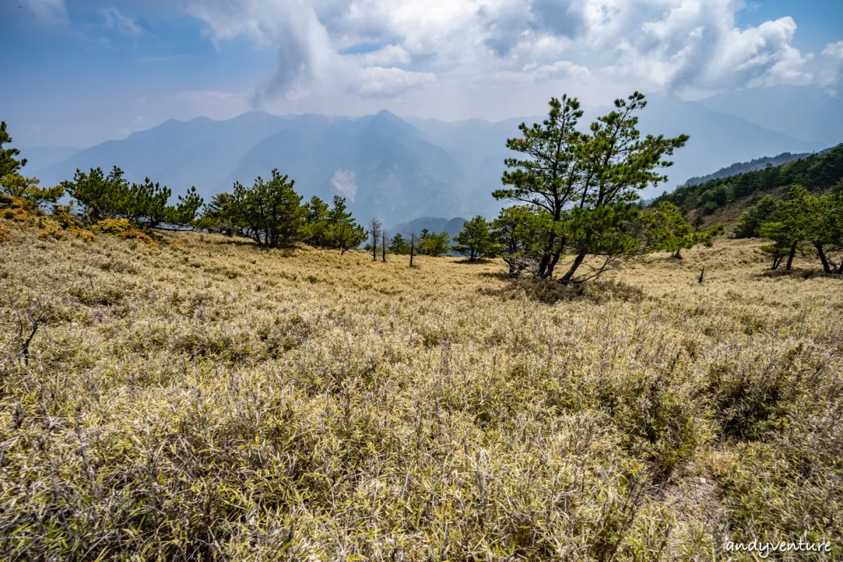 郡大山－完整登山路線攻略，車程艱辛但風景秀麗的百岳八秀｜台灣景點