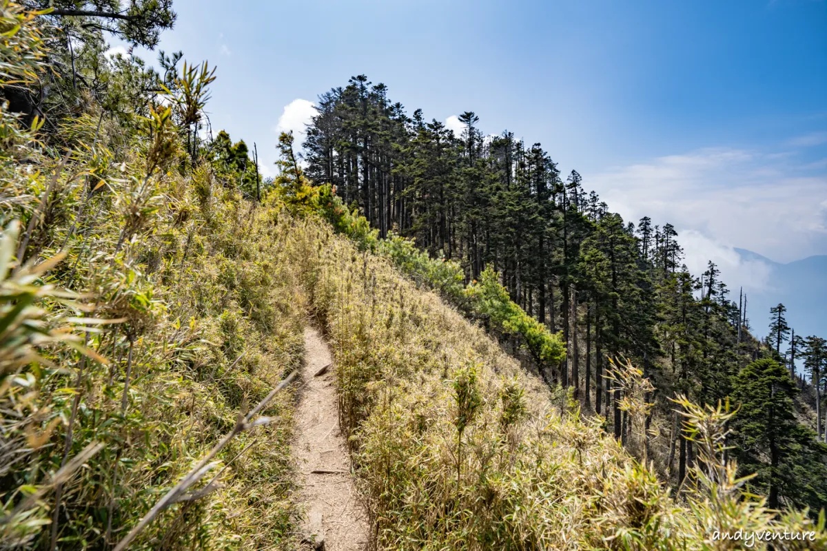 郡大山－完整登山路線攻略，車程艱辛但風景秀麗的百岳八秀｜台灣景點