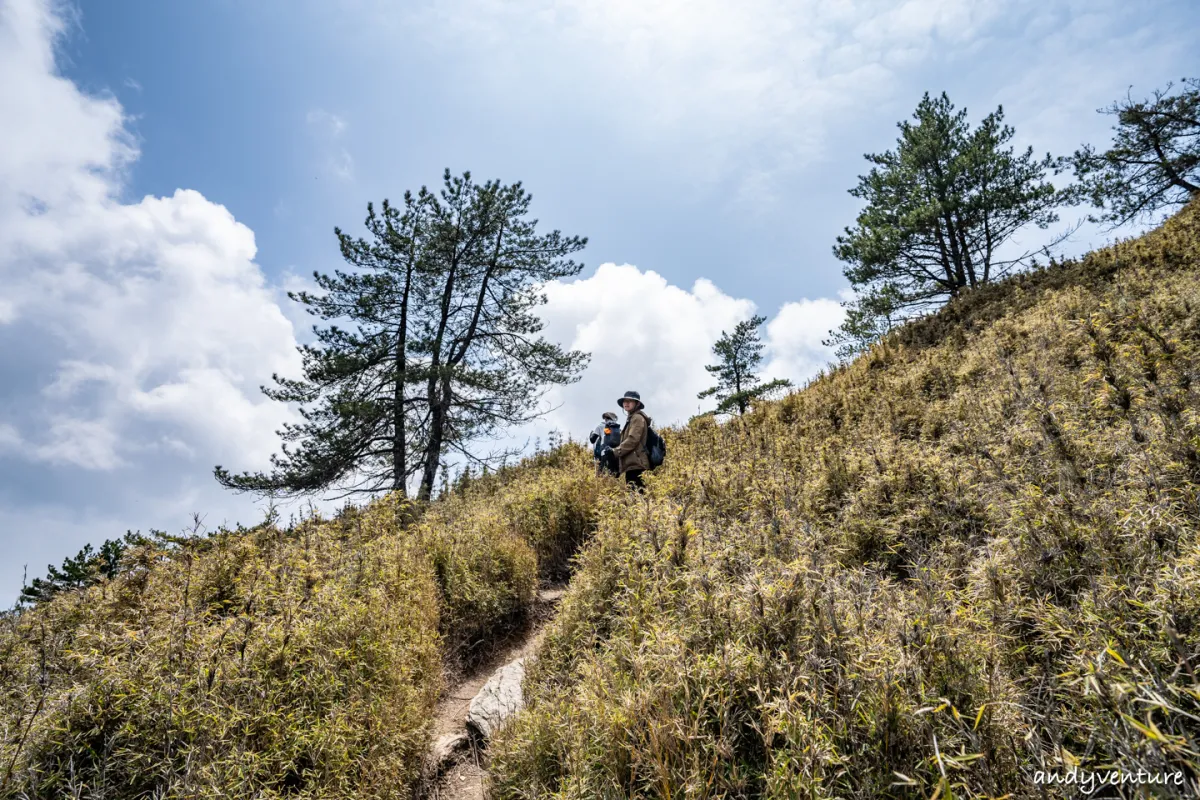 郡大山－完整登山路線攻略，車程艱辛但風景秀麗的百岳八秀｜台灣景點