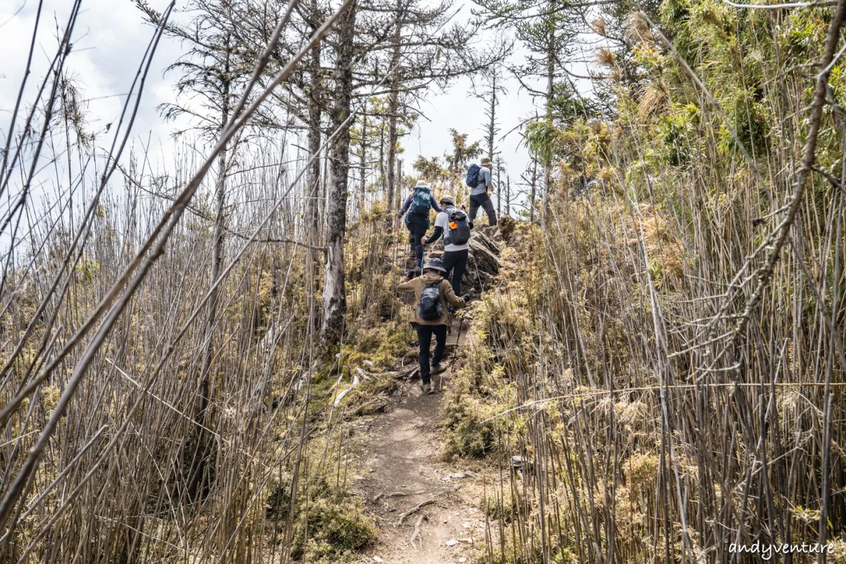 郡大山－完整登山路線攻略，車程艱辛但風景秀麗的百岳八秀｜台灣景點