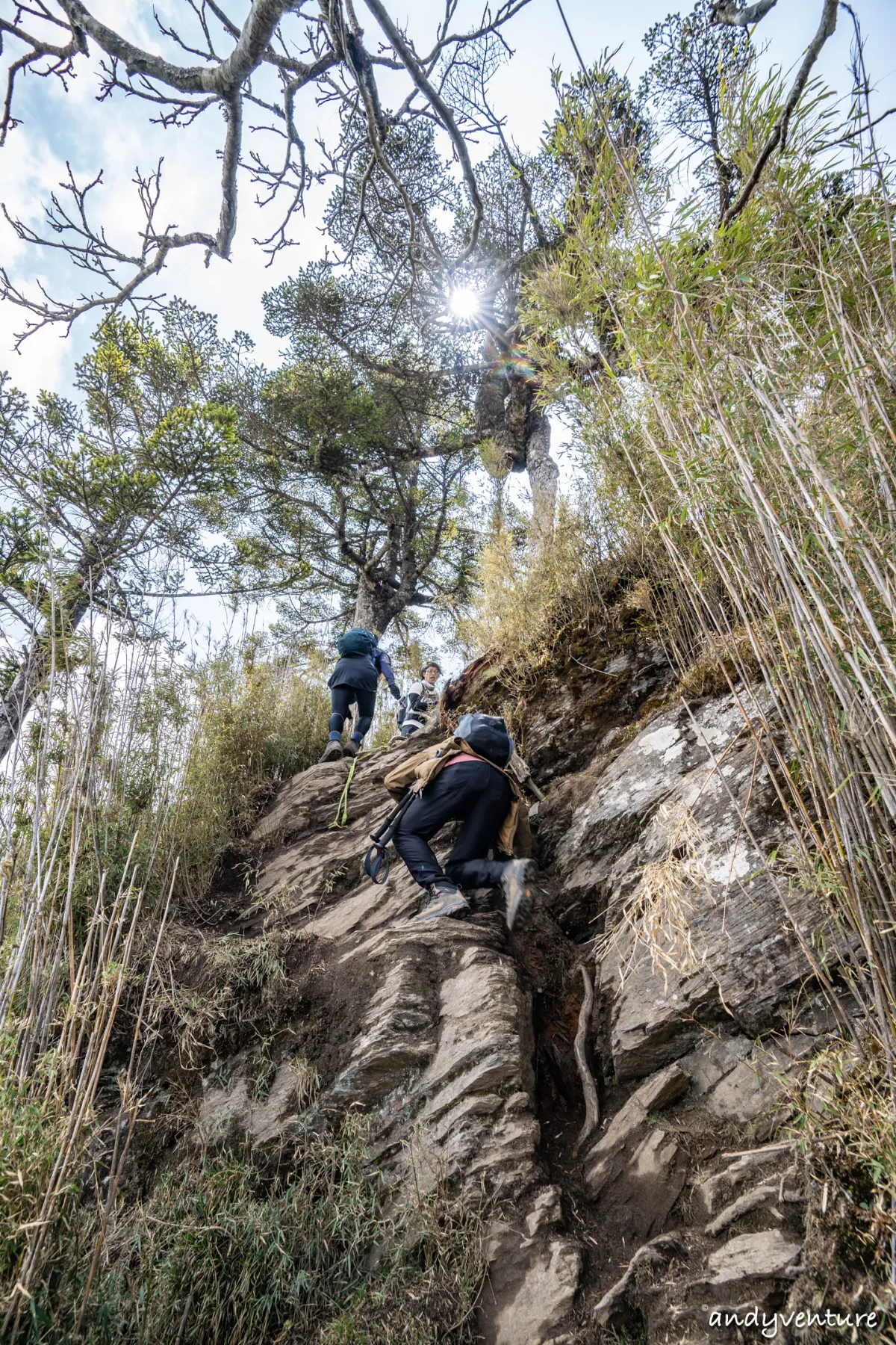 郡大山－完整登山路線攻略，車程艱辛但風景秀麗的百岳八秀｜台灣景點