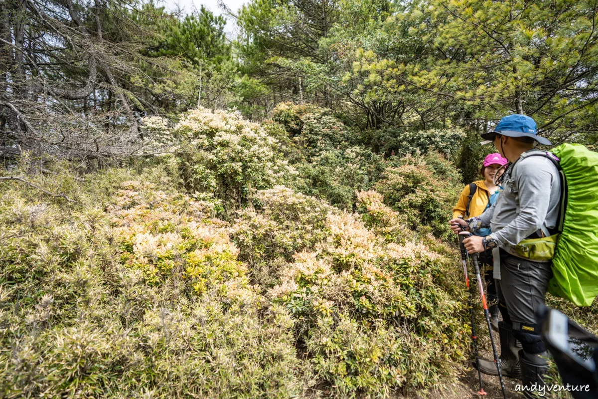 郡大山－完整登山路線攻略，車程艱辛但風景秀麗的百岳八秀｜台灣景點