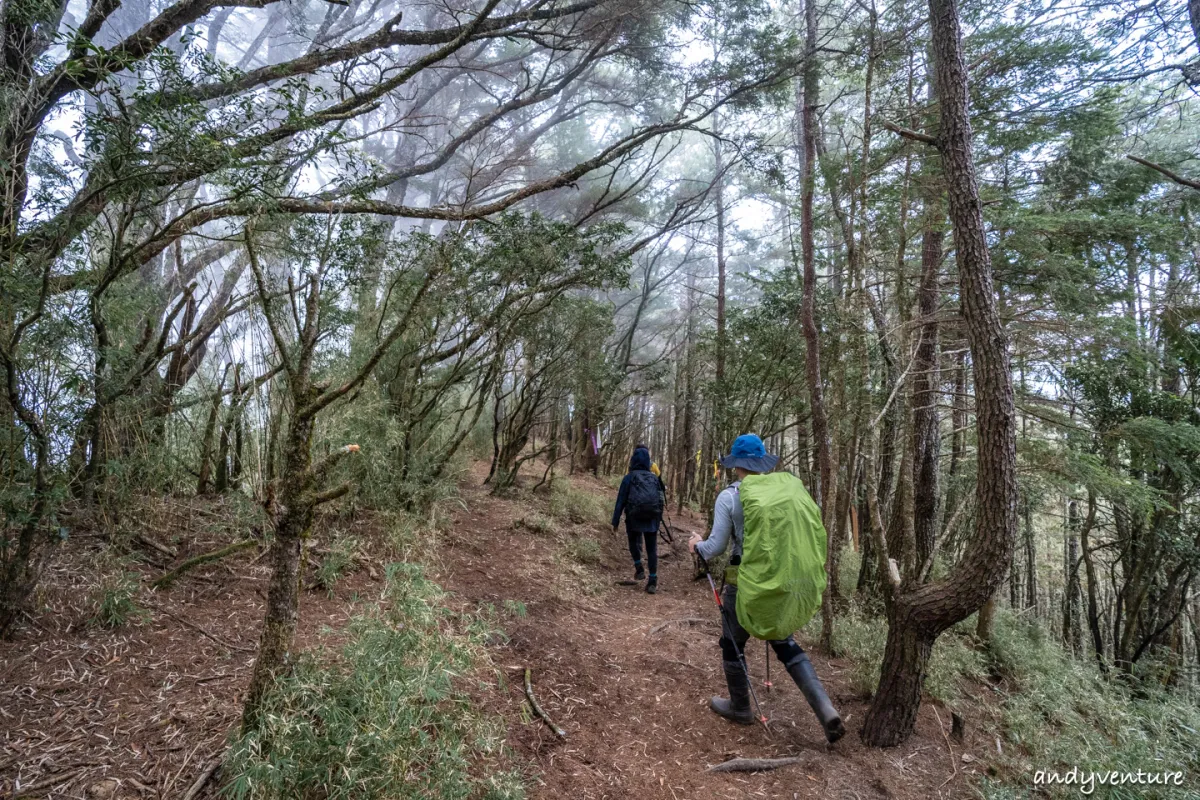 郡大山－完整登山路線攻略，車程艱辛但風景秀麗的百岳八秀｜台灣景點