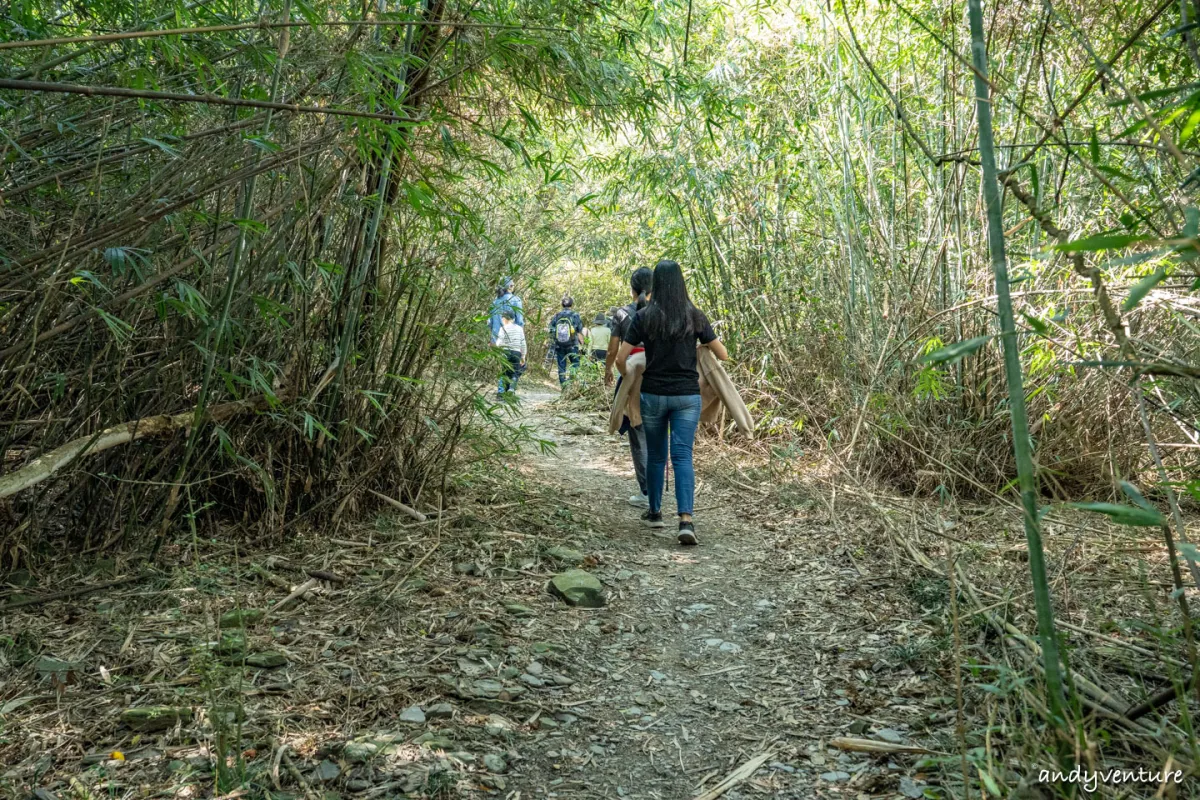 羅木斯溪登山步道(茂林谷)－簡單易走的親子健行步道｜高雄茂林｜台灣景點