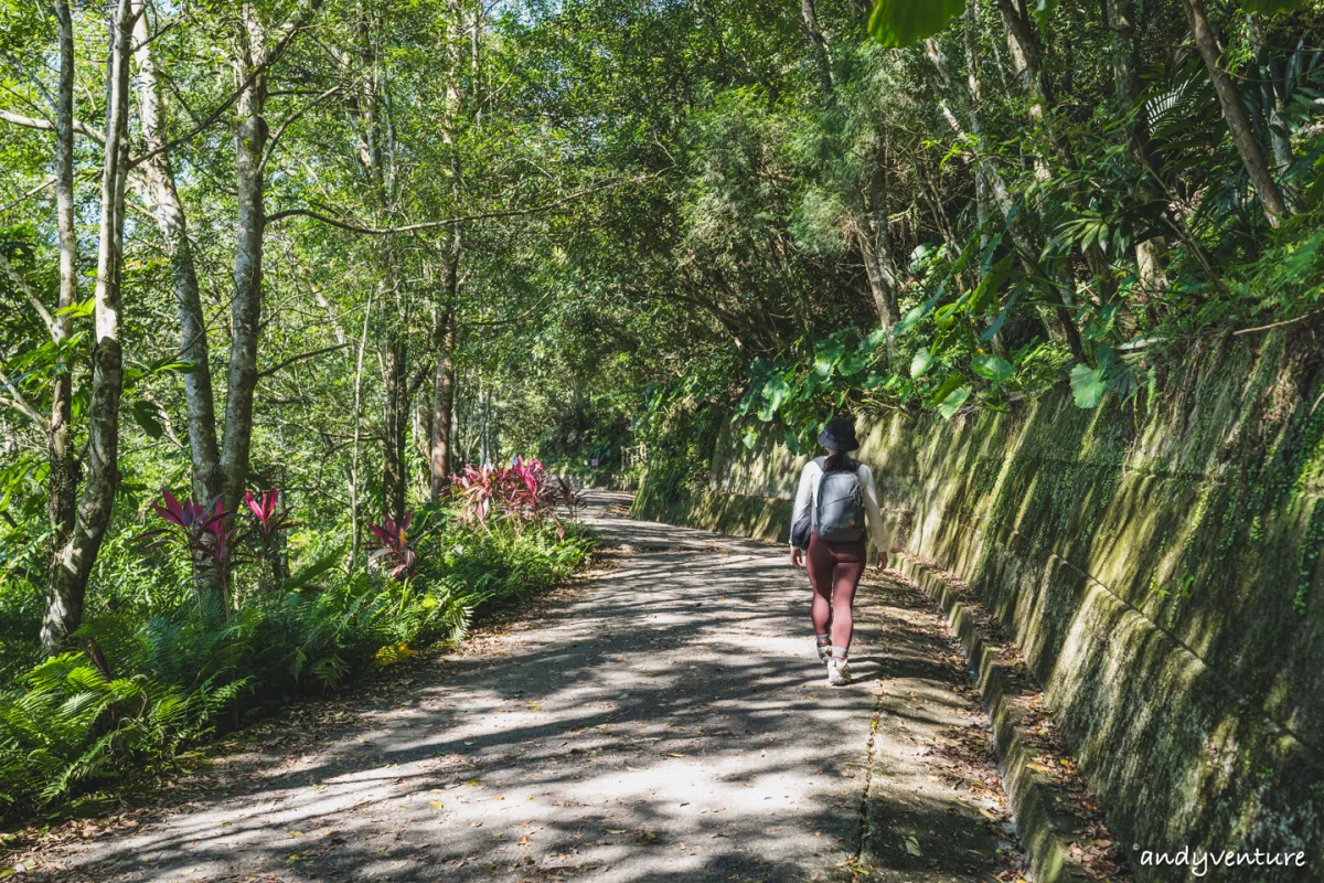 抹茶山(聖母登山步道)－最完整路線攻略與沿路景點介紹｜宜蘭景點