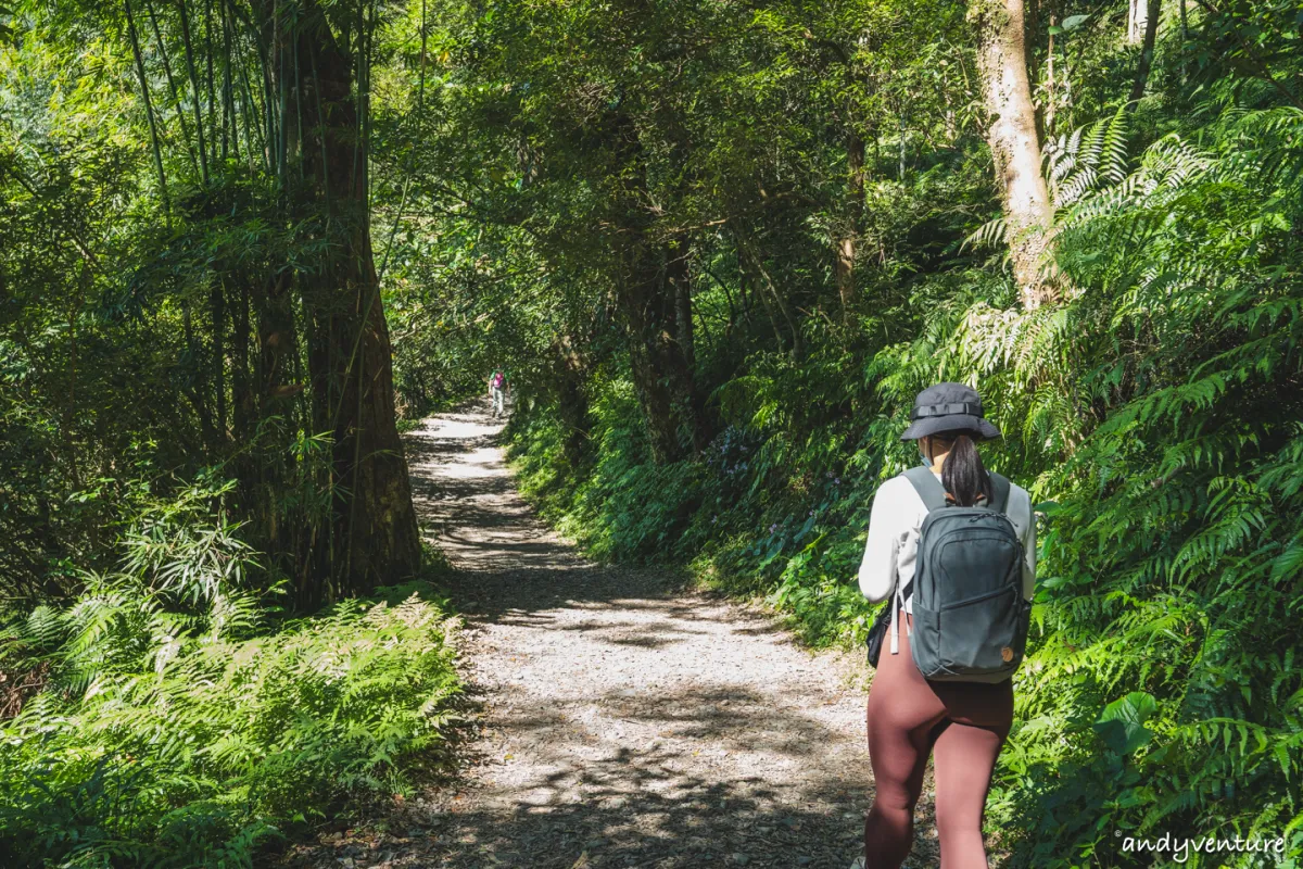 抹茶山(聖母登山步道)－最完整路線攻略與沿路景點介紹｜宜蘭景點