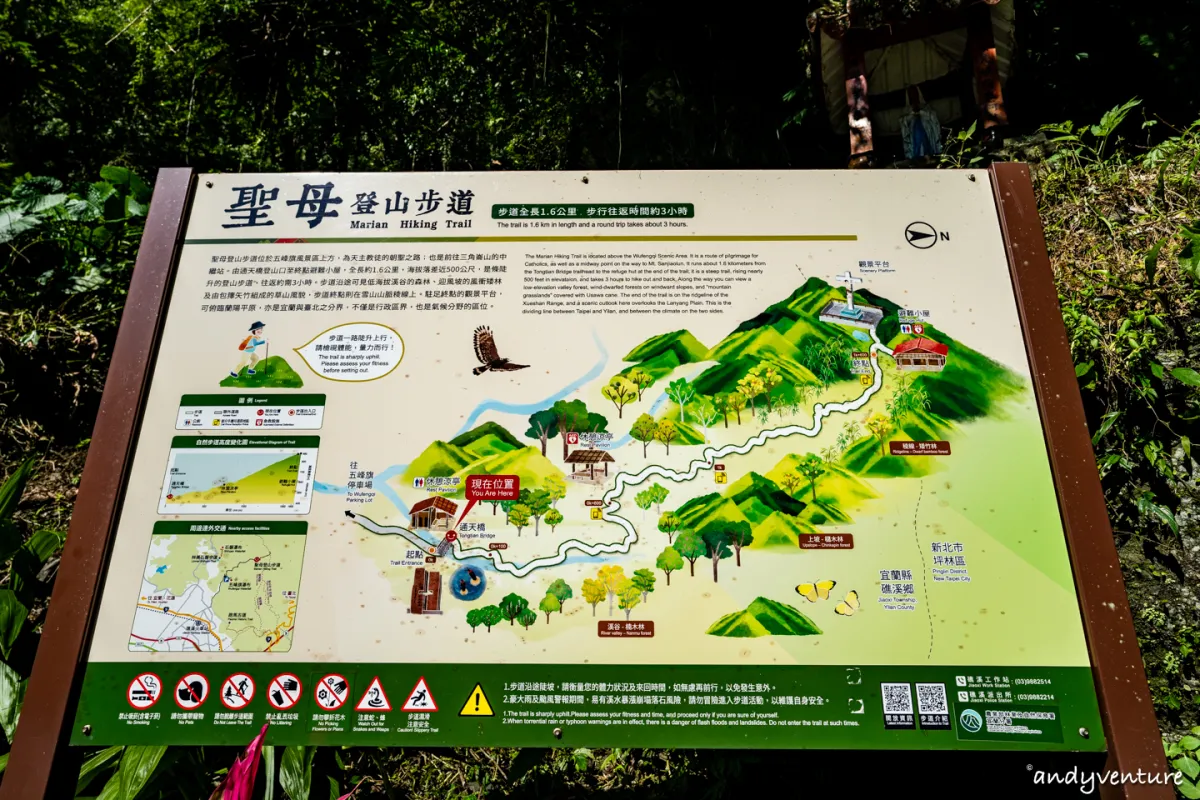 抹茶山(聖母登山步道)－最完整路線攻略與沿路景點介紹｜宜蘭景點