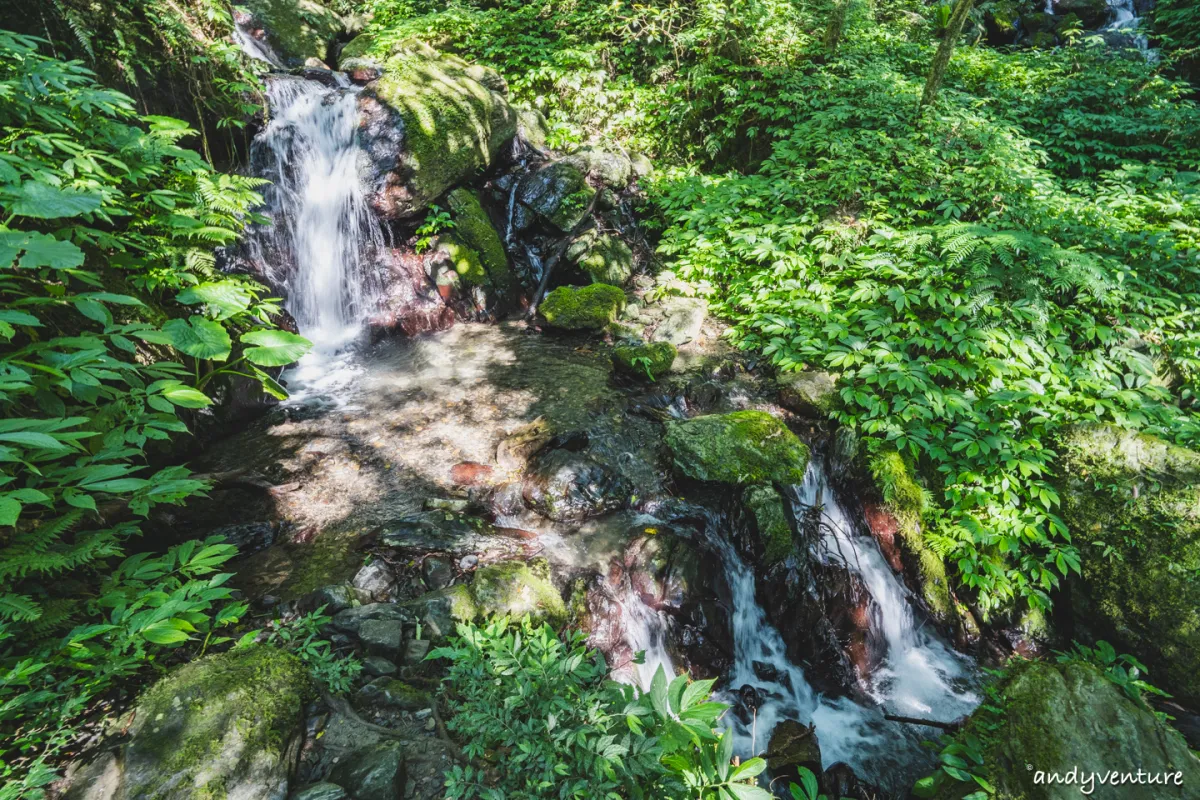 抹茶山(聖母登山步道)－最完整路線攻略與沿路景點介紹｜宜蘭景點