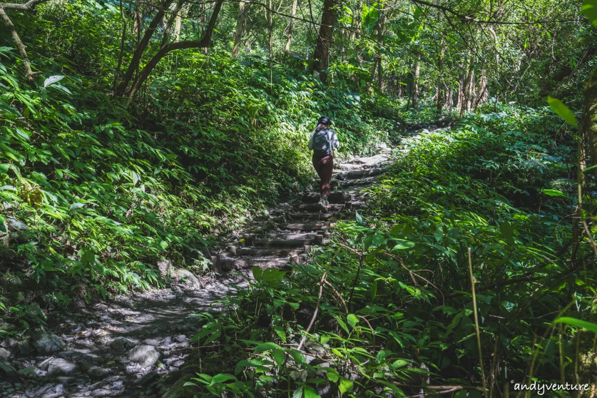 抹茶山(聖母登山步道)－最完整路線攻略與沿路景點介紹｜宜蘭景點