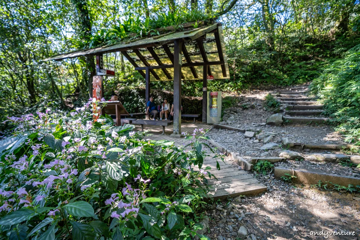 抹茶山(聖母登山步道)－最完整路線攻略與沿路景點介紹｜宜蘭景點