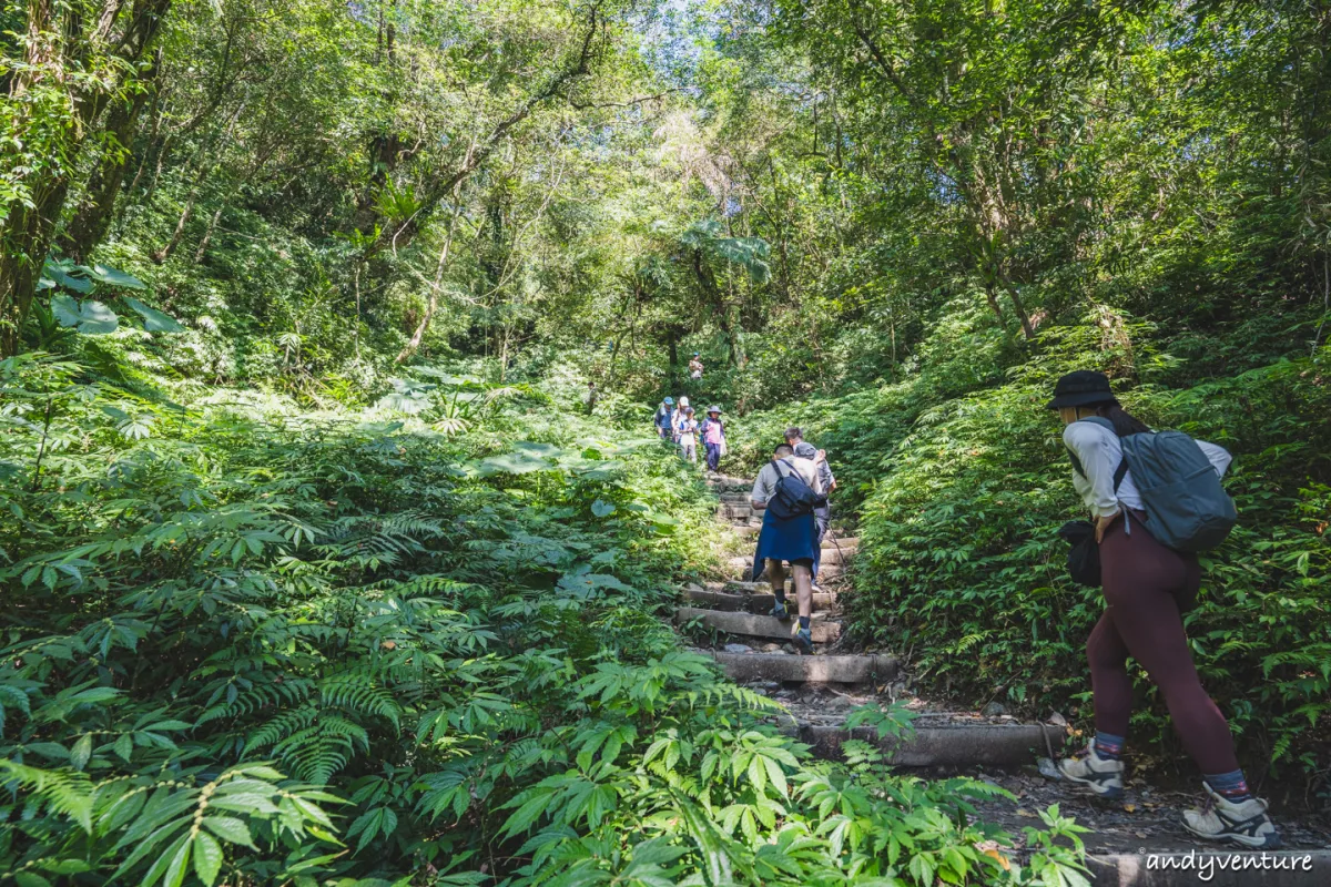 抹茶山(聖母登山步道)－最完整路線攻略與沿路景點介紹｜宜蘭景點