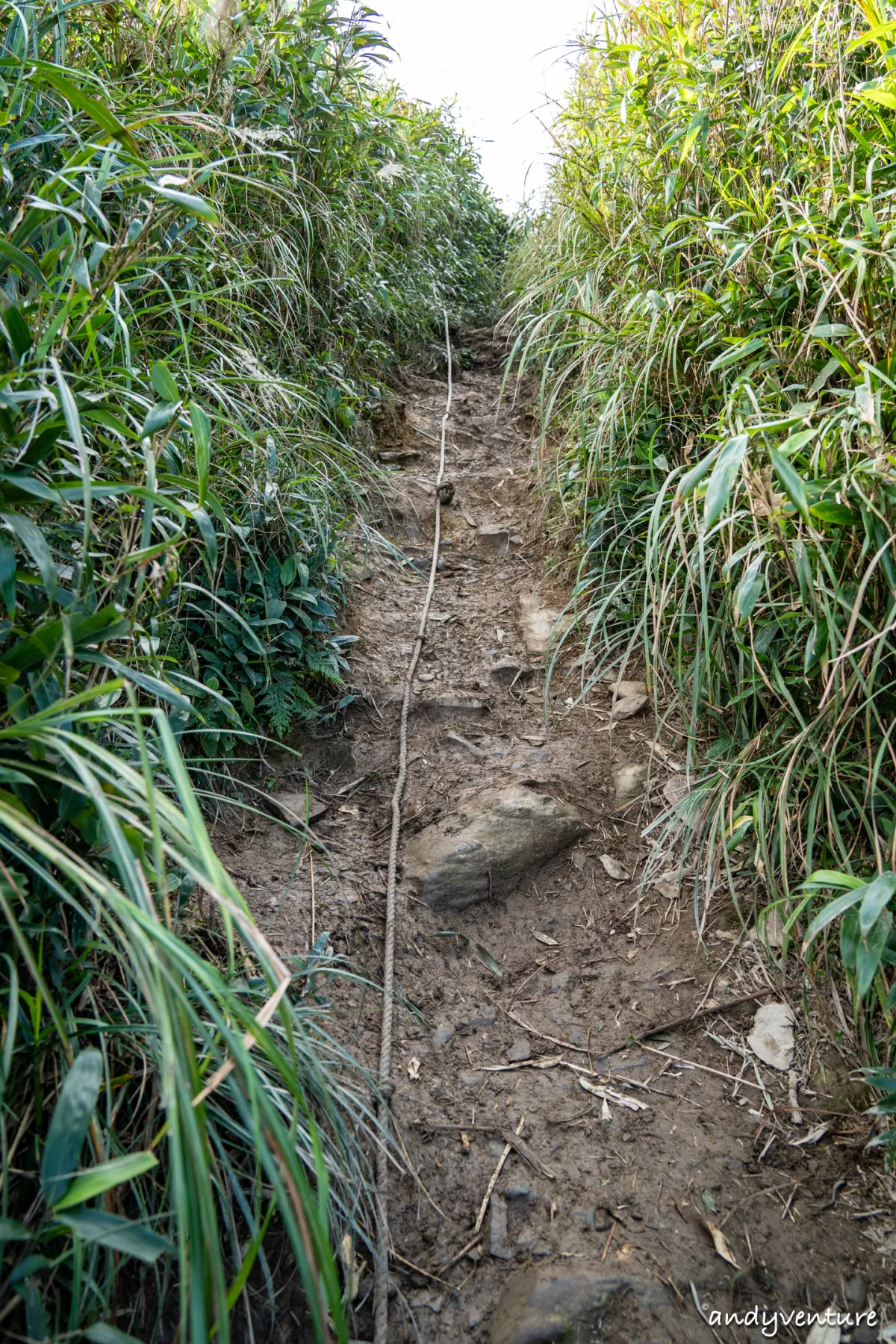 抹茶山(聖母登山步道)－最完整路線攻略與沿路景點介紹｜宜蘭景點