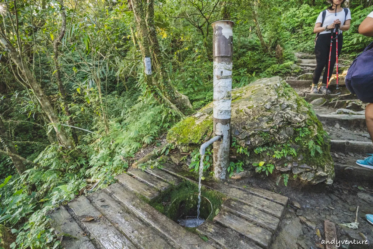 抹茶山(聖母登山步道)－最完整路線攻略與沿路景點介紹｜宜蘭景點