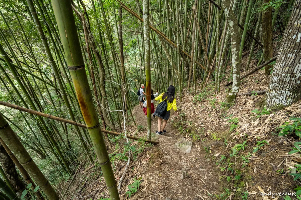 泰崗野溪溫泉－跋山涉水才能抵達的溪谷溫泉｜新竹尖石｜台灣景點