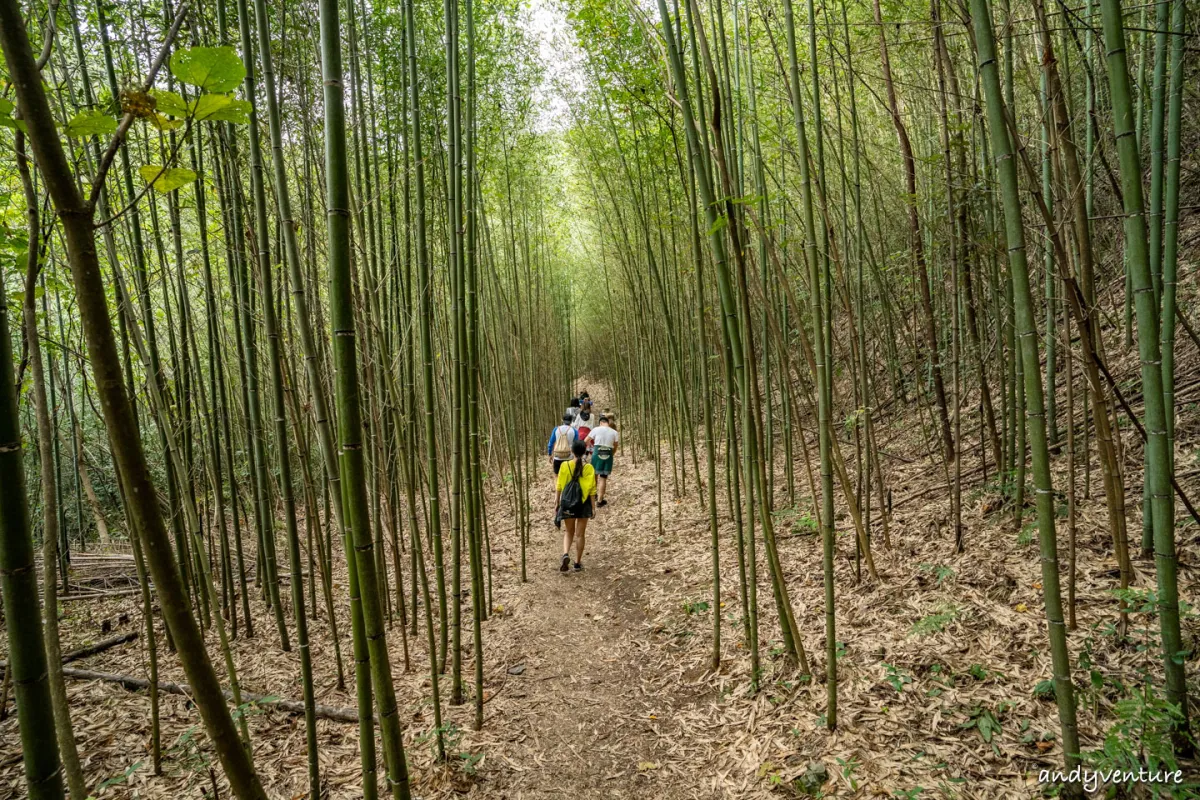 泰崗野溪溫泉－跋山涉水才能抵達的溪谷溫泉｜新竹尖石｜台灣景點