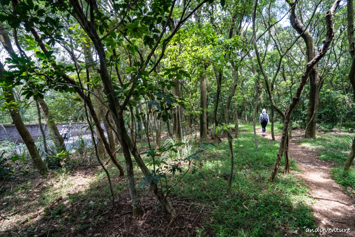 台北大縱走第一段－從捷運站走到陽明山上，健行攻略與沿路景點