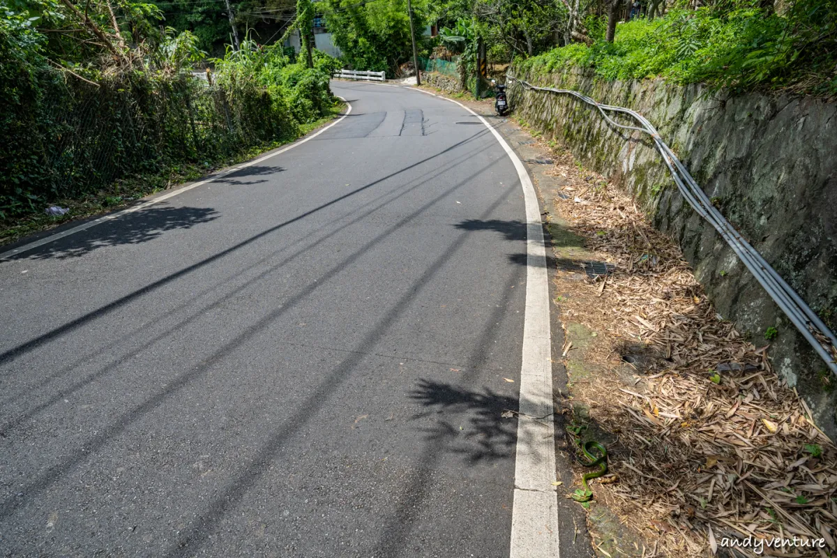 台北大縱走第一段－從捷運站走到陽明山上，健行攻略與沿路景點