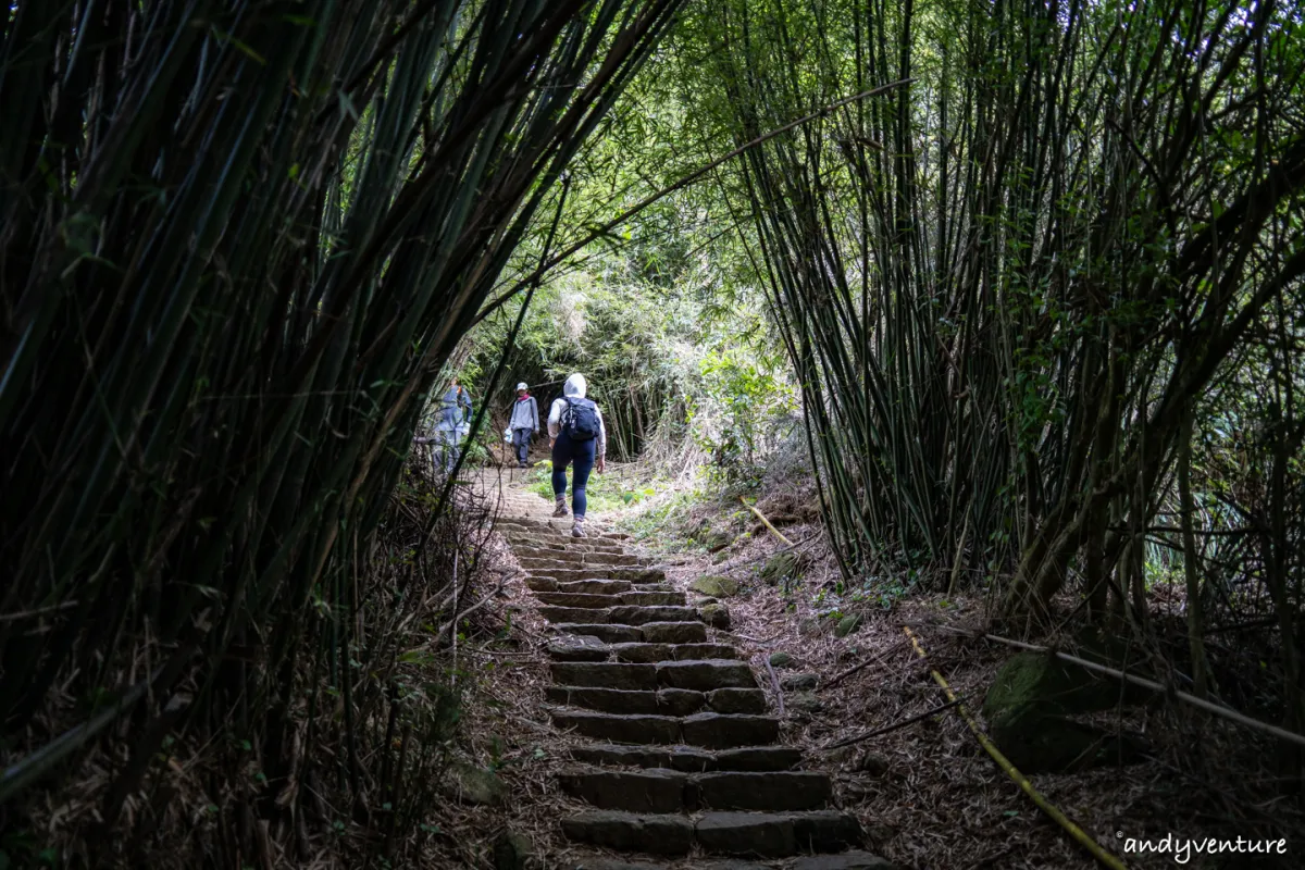 台北大縱走第一段－從捷運站走到陽明山上，健行攻略與沿路景點