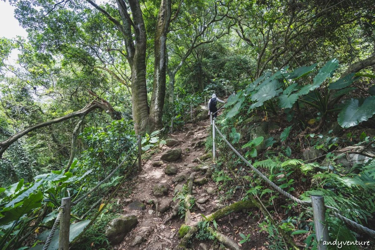 台北大縱走第一段－從捷運站走到陽明山上，健行攻略與沿路景點