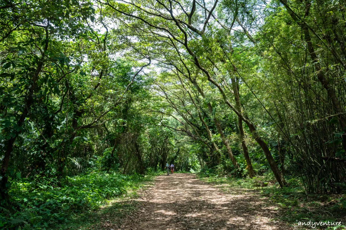 台北大縱走第一段－從捷運站走到陽明山上，健行攻略與沿路景點