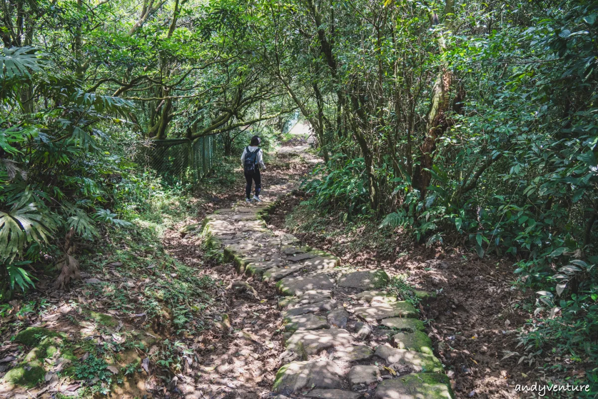 台北大縱走第三段－一日穿越台北最高群山，健行攻略與沿路景點