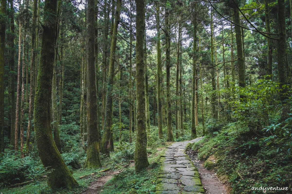 台北大縱走第三段－一日穿越台北最高群山，健行攻略與沿路景點