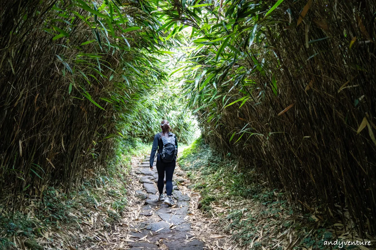 台北大縱走第三段－一日穿越台北最高群山，健行攻略與沿路景點