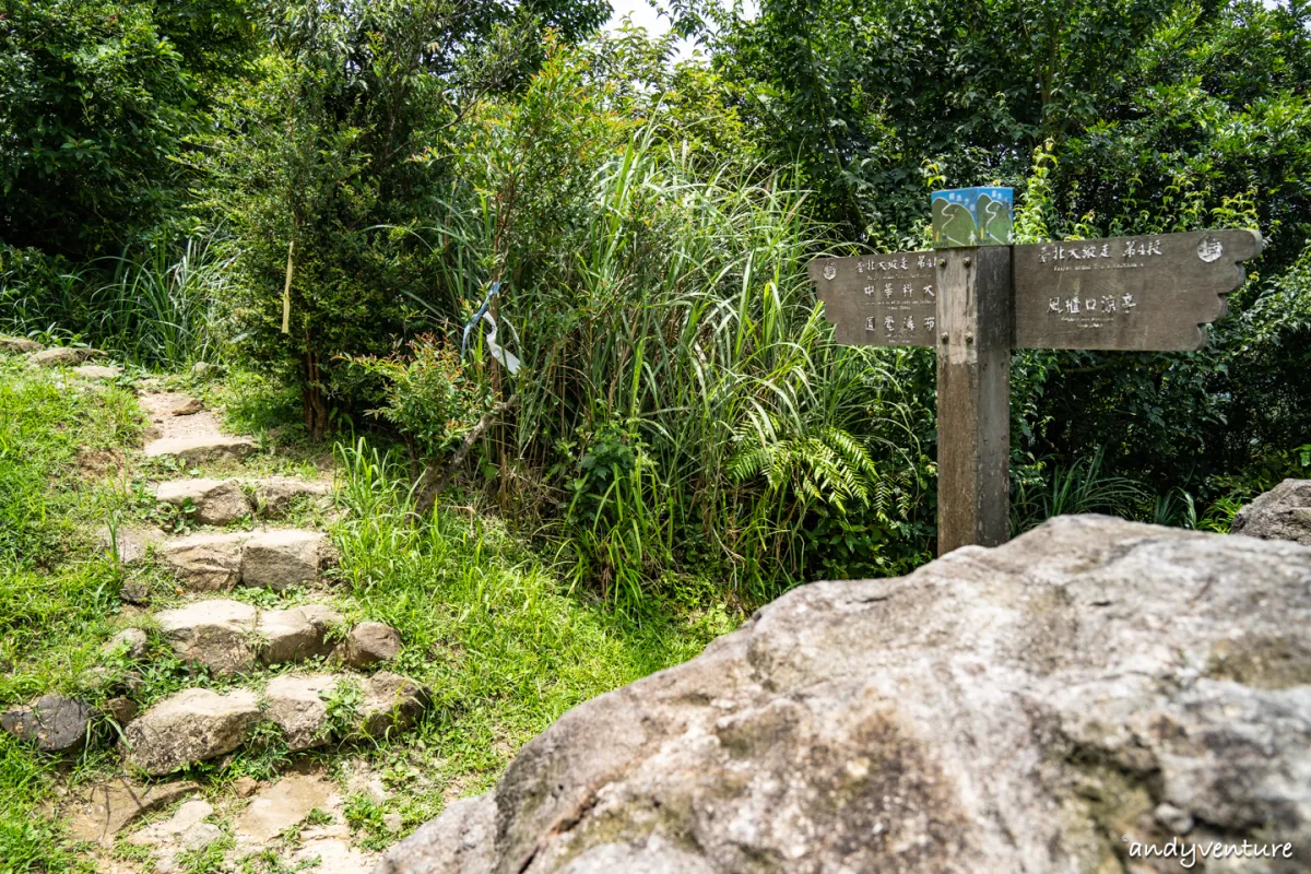 台北大縱走第四段－生態豐富的沿溪山徑，健行攻略與沿路景點