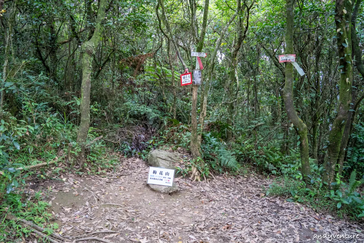 台北大縱走第四段－生態豐富的沿溪山徑，健行攻略與沿路景點