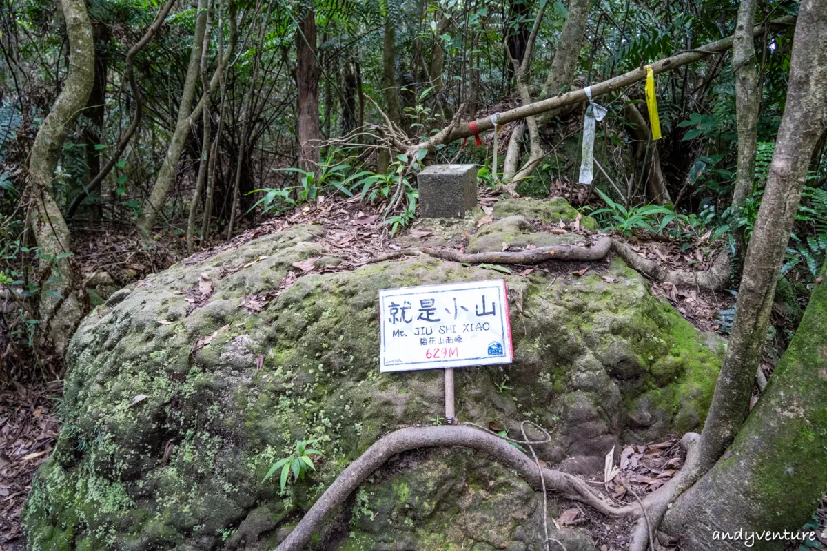 台北大縱走第四段－生態豐富的沿溪山徑，健行攻略與沿路景點