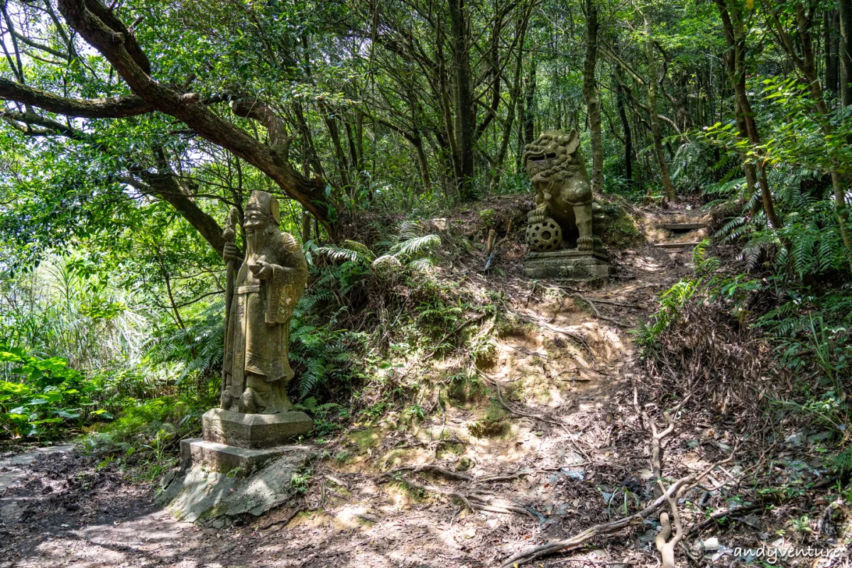 台北大縱走第四段－生態豐富的沿溪山徑，健行攻略與沿路景點