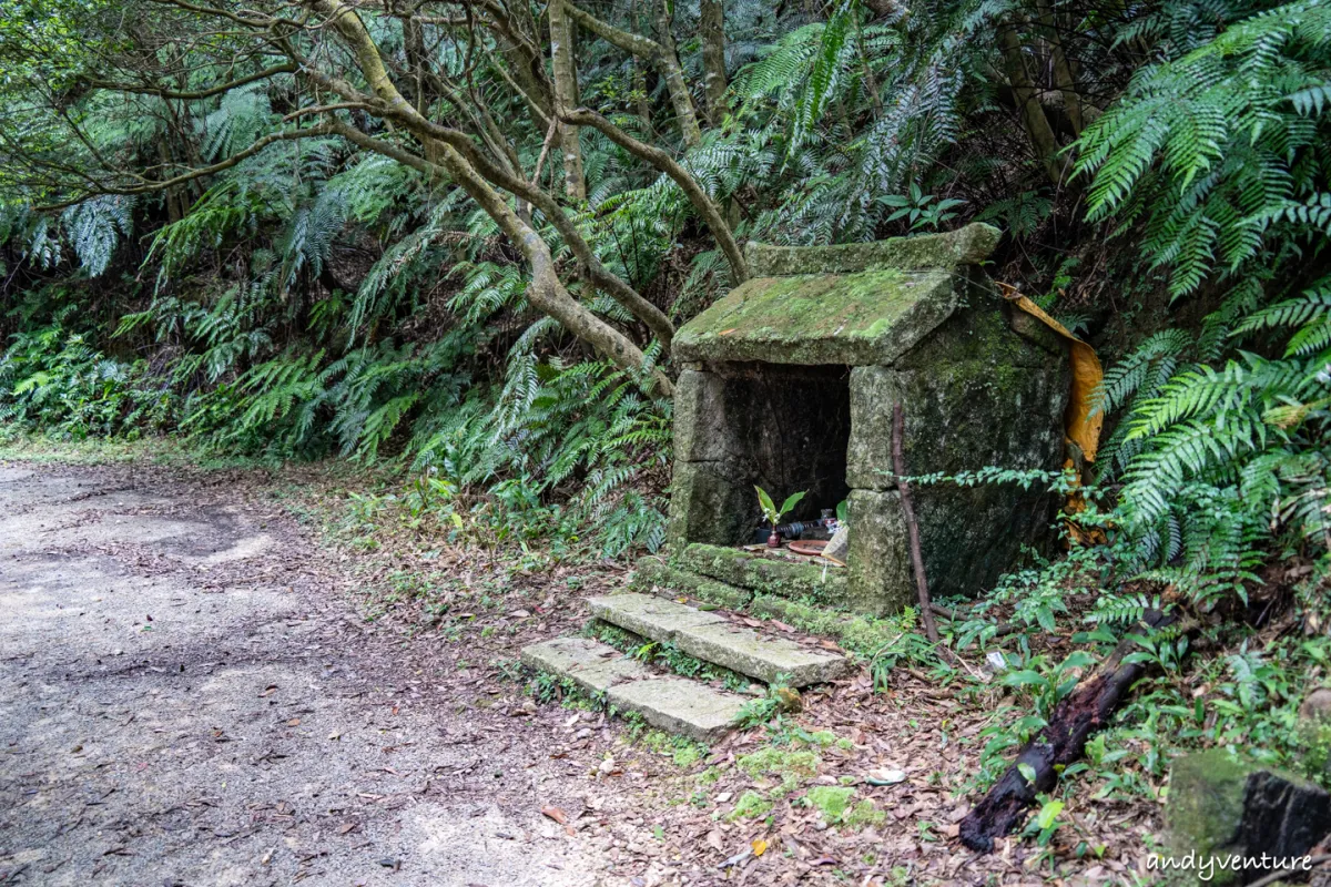 台北大縱走第四段－生態豐富的沿溪山徑，健行攻略與沿路景點