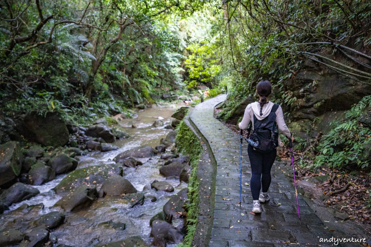 台北大縱走第四段－生態豐富的沿溪山徑，健行攻略與沿路景點