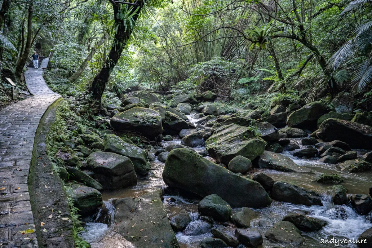 台北大縱走第四段－生態豐富的沿溪山徑，健行攻略與沿路景點