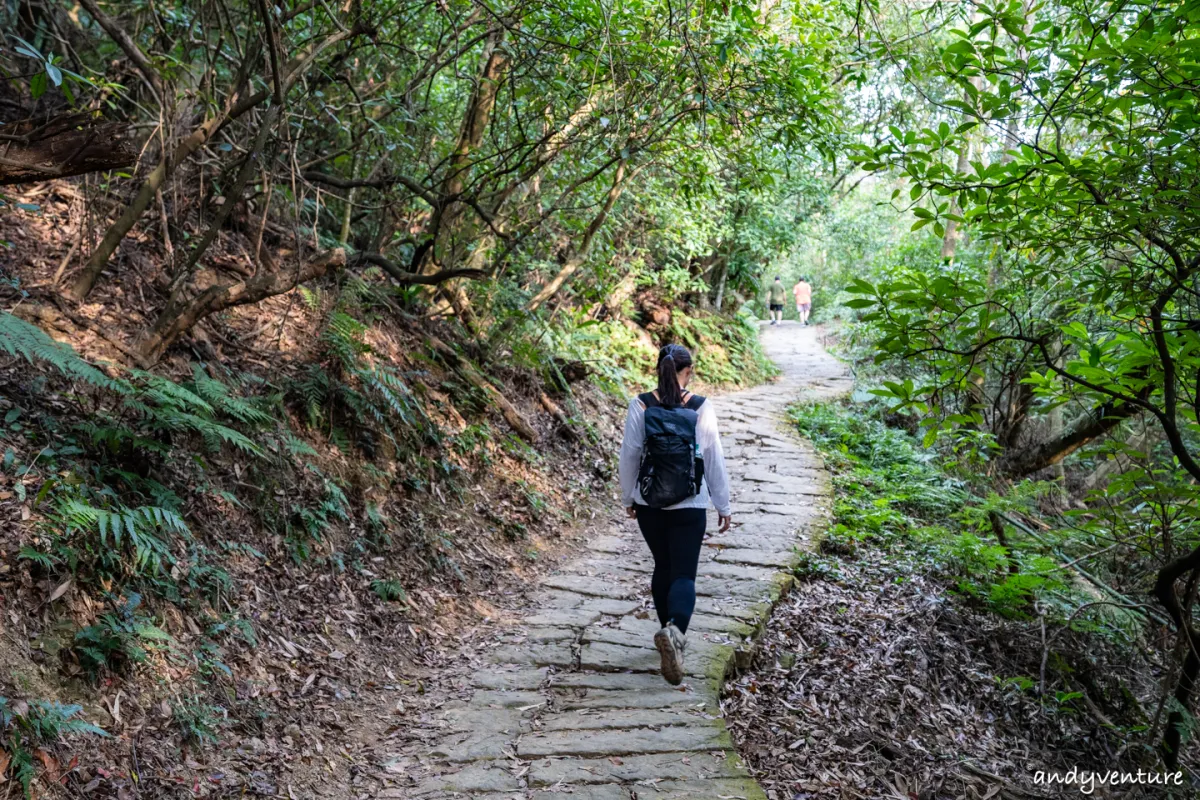 台北大縱走第五段－新手友善路線，健行攻略與沿路景點