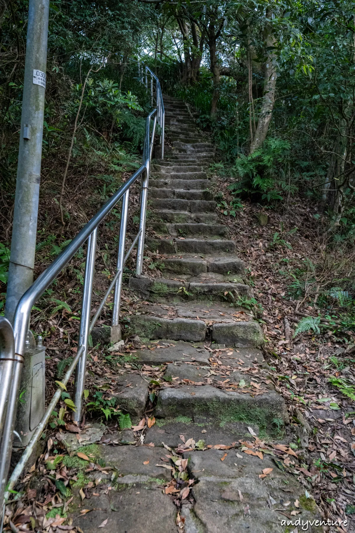 台北大縱走第五段－新手友善路線，健行攻略與沿路景點