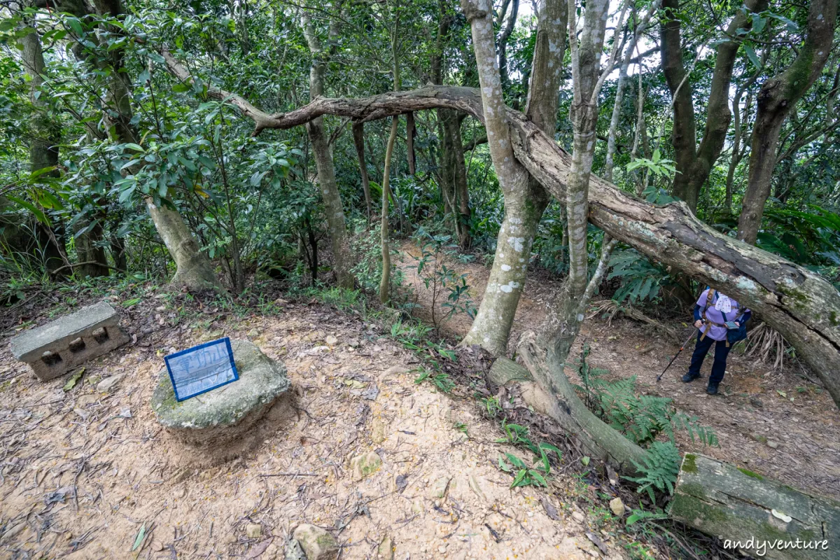 台北大縱走第七段－悠閒的指南宮、貓空觀光路線，健行攻略與沿路景點