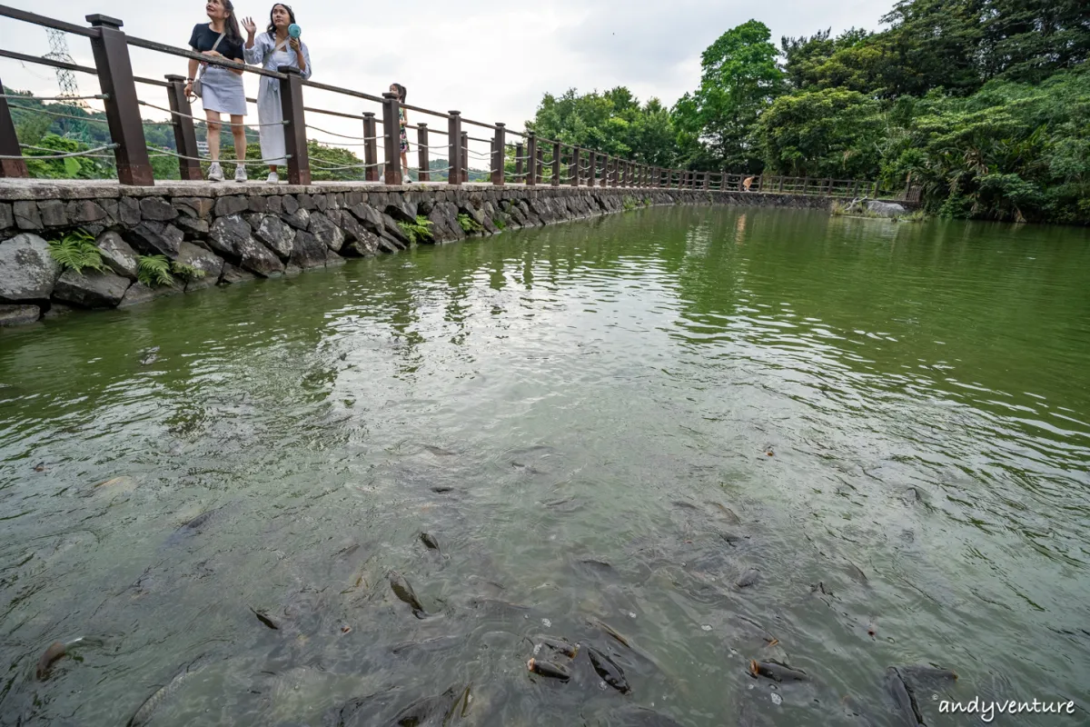 台北大縱走第七段－悠閒的指南宮、貓空觀光路線，健行攻略與沿路景點