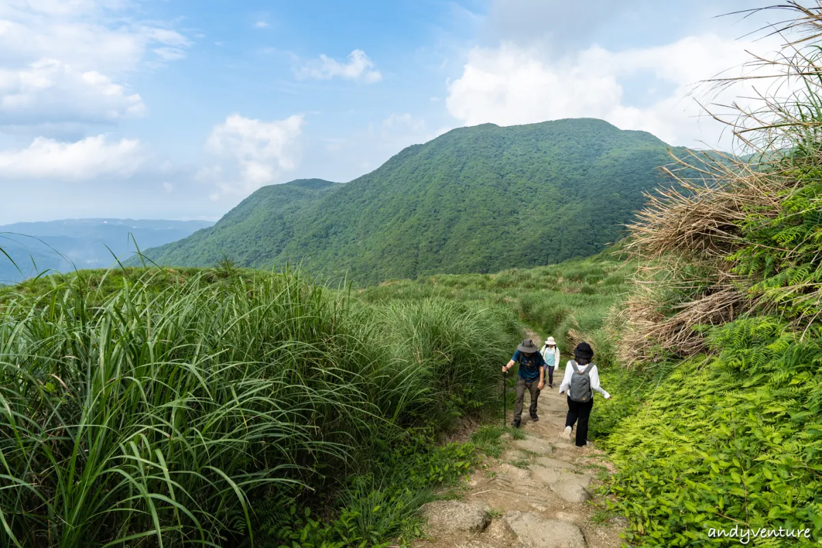 魚路古道(金包里大路)－陽明山的新手最友善登山路線｜台北景點