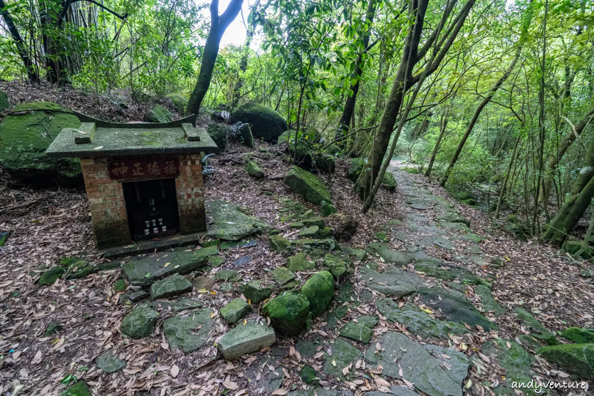 魚路古道(金包里大路)－陽明山的新手最友善登山路線｜台北景點