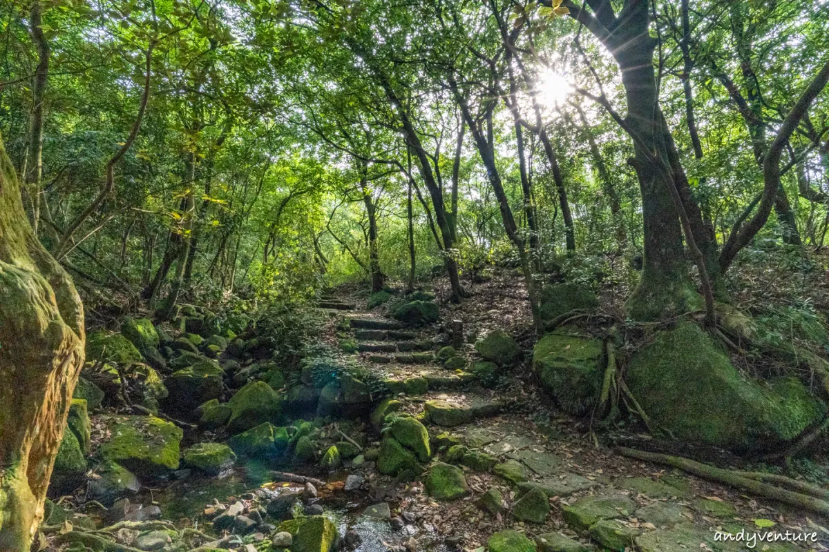 魚路古道(金包里大路)－陽明山的新手最友善登山路線｜台北景點