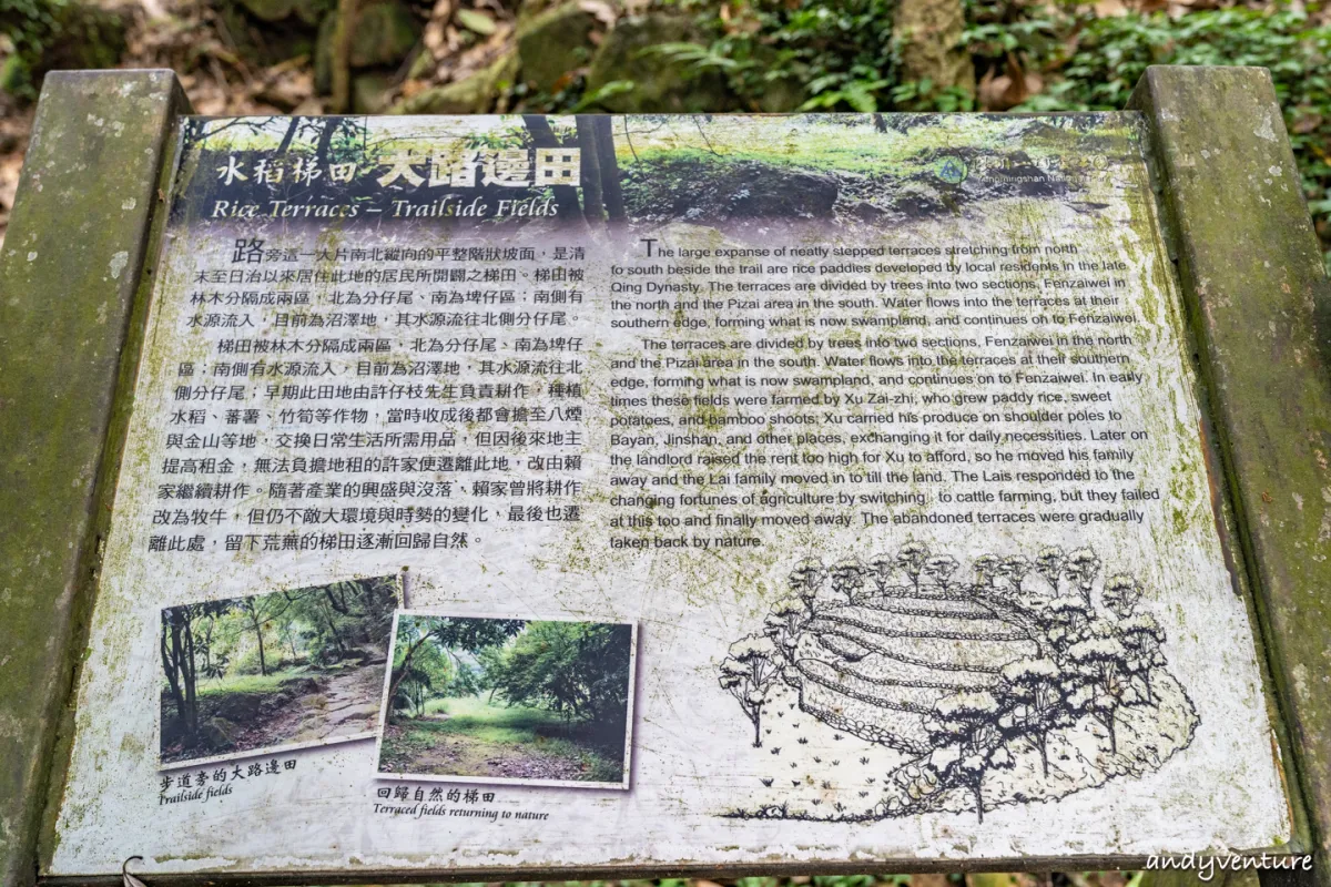 魚路古道(金包里大路)－陽明山的新手最友善登山路線｜台北景點