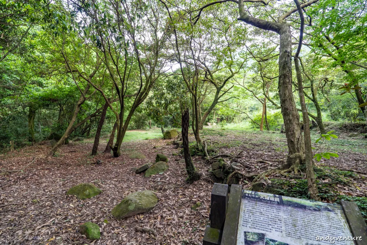 魚路古道(金包里大路)－陽明山的新手最友善登山路線｜台北景點