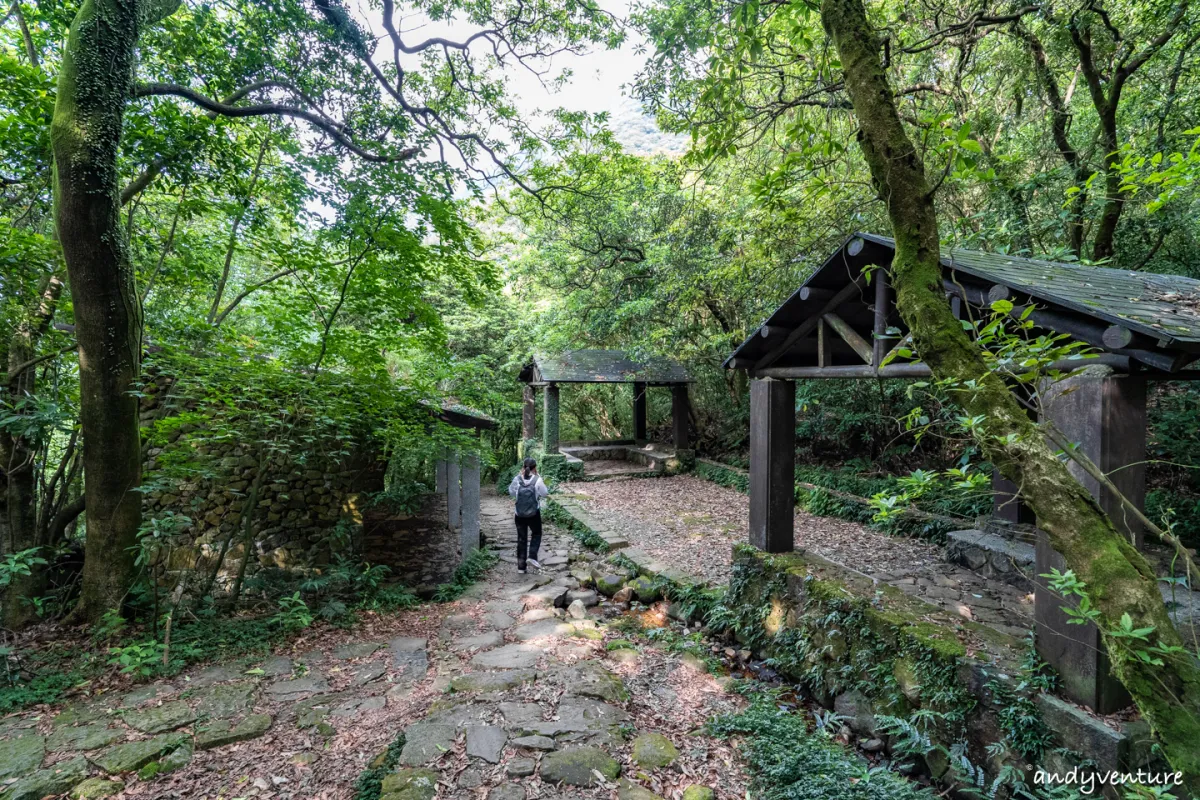 魚路古道(金包里大路)－陽明山的新手最友善登山路線｜台北景點