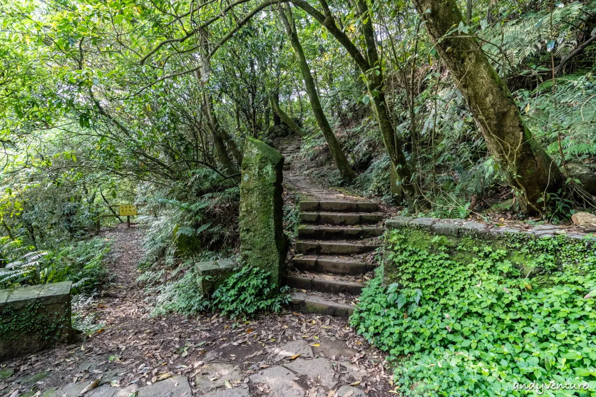 魚路古道(金包里大路)－陽明山的新手最友善登山路線｜台北景點