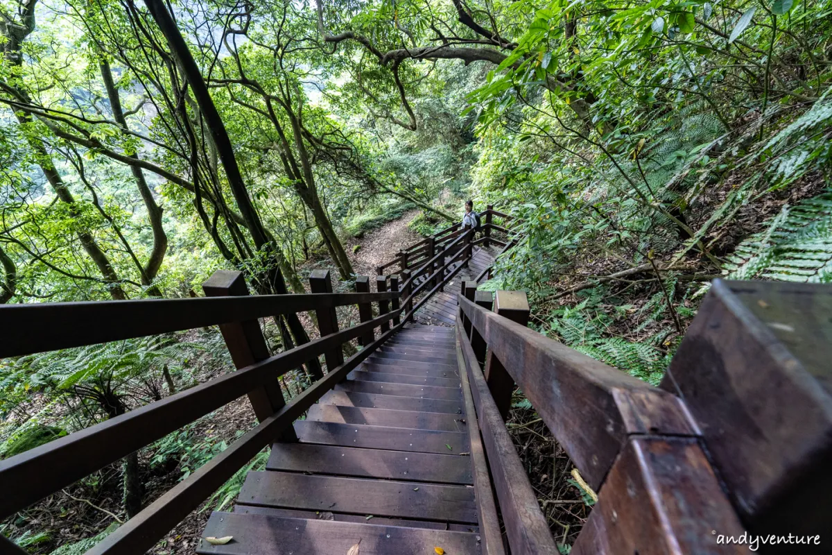 魚路古道(金包里大路)－陽明山的新手最友善登山路線｜台北景點