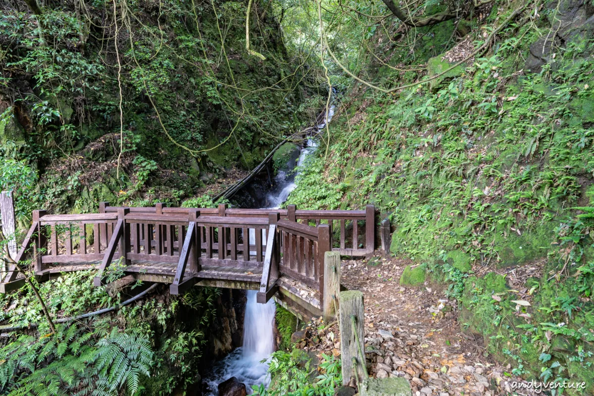 魚路古道(金包里大路)－陽明山的新手最友善登山路線｜台北景點