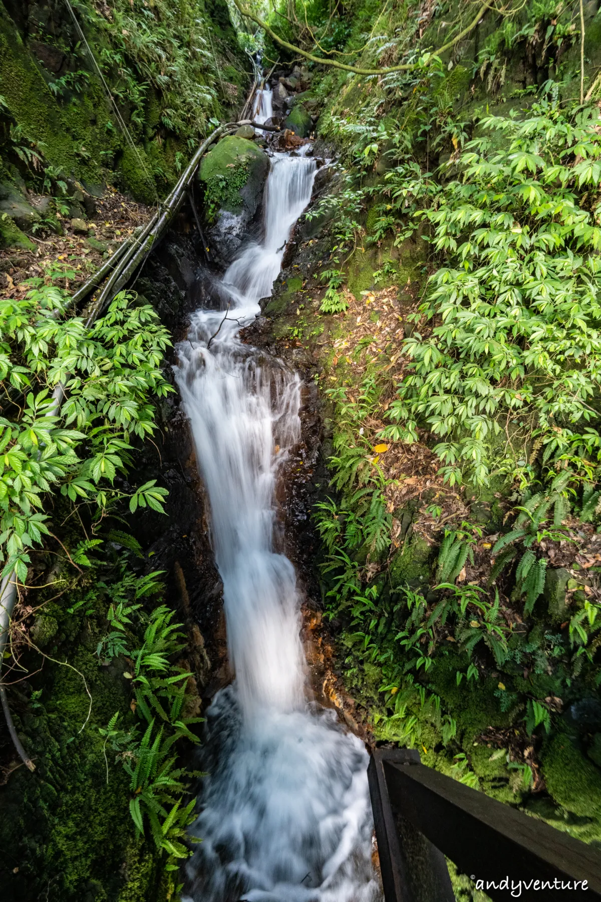 魚路古道(金包里大路)－陽明山的新手最友善登山路線｜台北景點