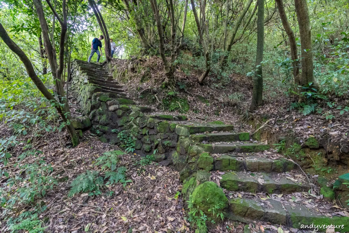 魚路古道(金包里大路)－陽明山的新手最友善登山路線｜台北景點