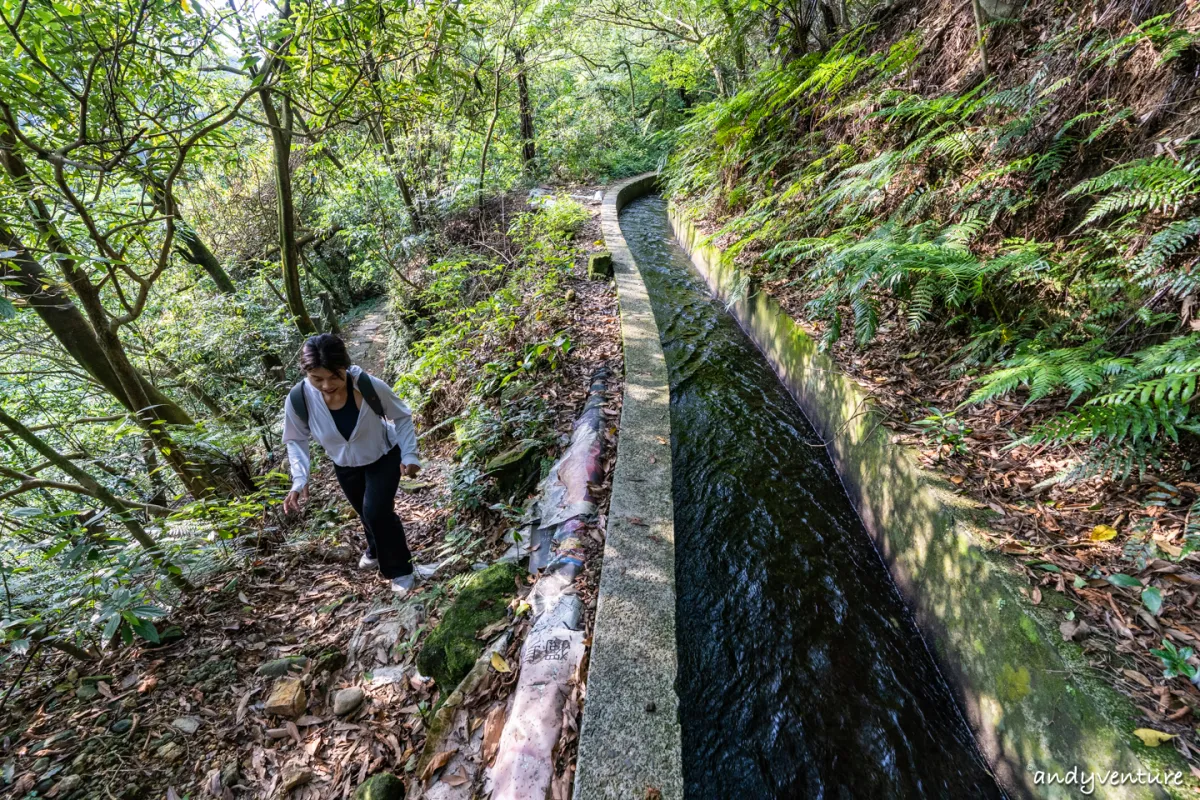 魚路古道(金包里大路)－陽明山的新手最友善登山路線｜台北景點